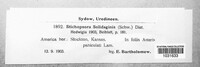 Image Associated With the Occurence